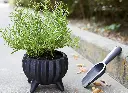 Sample Blumentopf.webp
