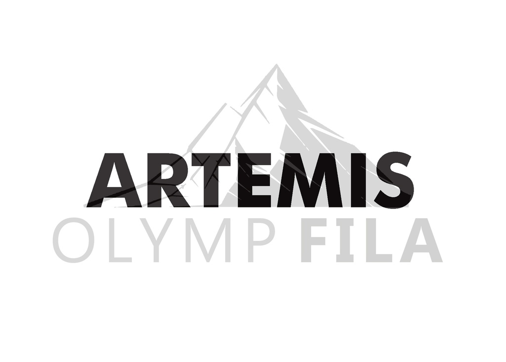 Artemis-PA6GF20-FIRST.jpg