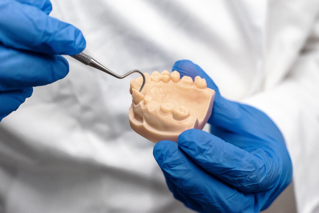 ff_dental-resin-model_jaw_2.jpg