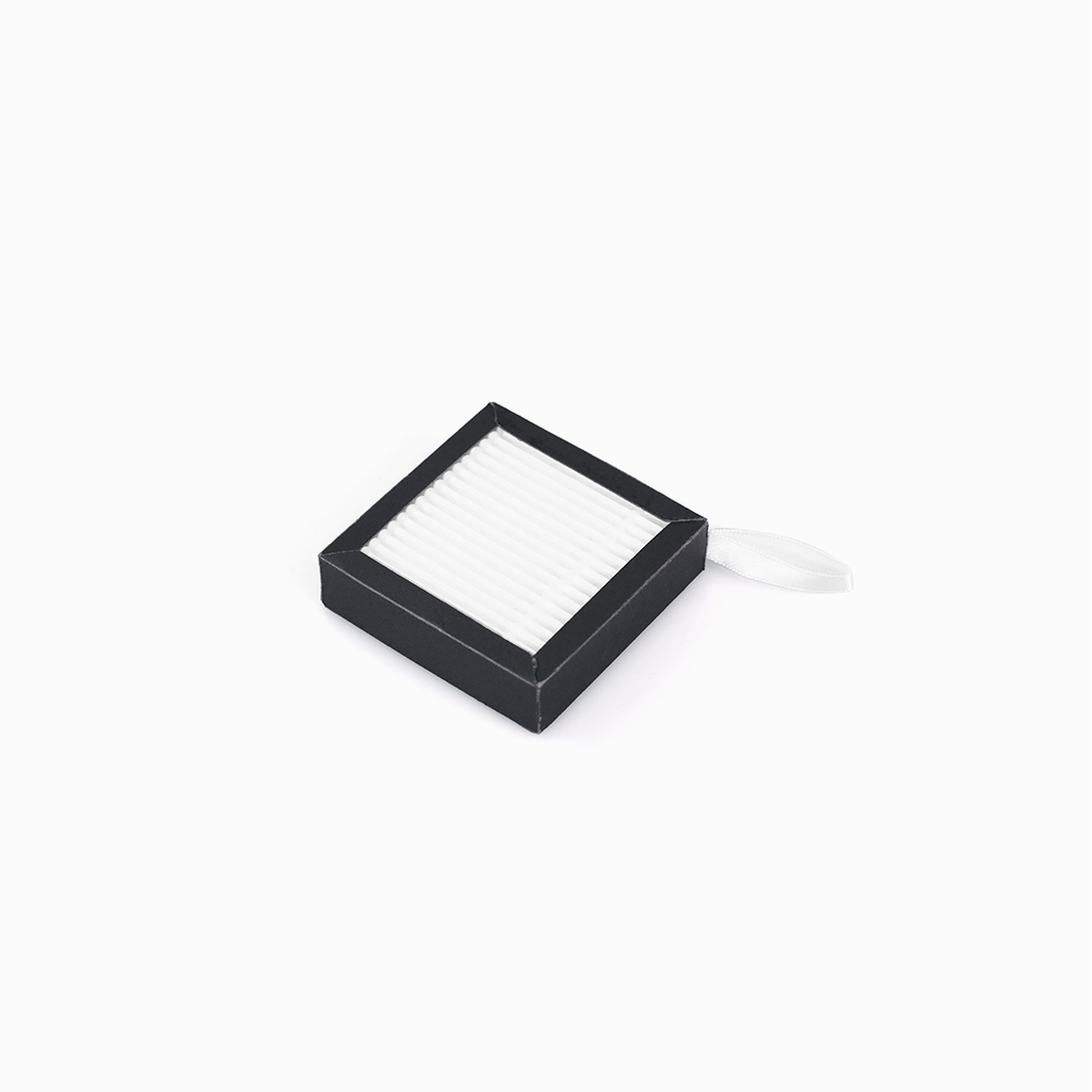 Raise3D E2 / E2CF Air filter