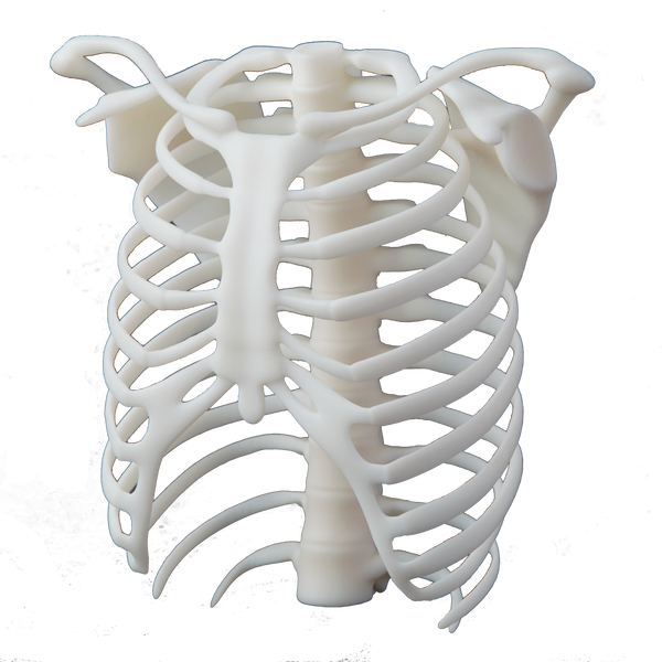 [PSUFL0010V.13] Formlabs White Resin V4.1 (Form 3)