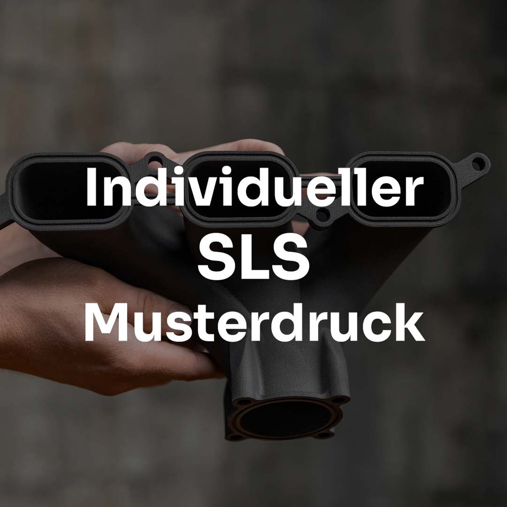[MUDDM0007] Musterdruck auf SLS 3D-Drucker